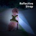 thumbnail image 5 of Arnés para perros PoyPet, malla reflectante, suave y transpirable, color verde militar, 5 of 5