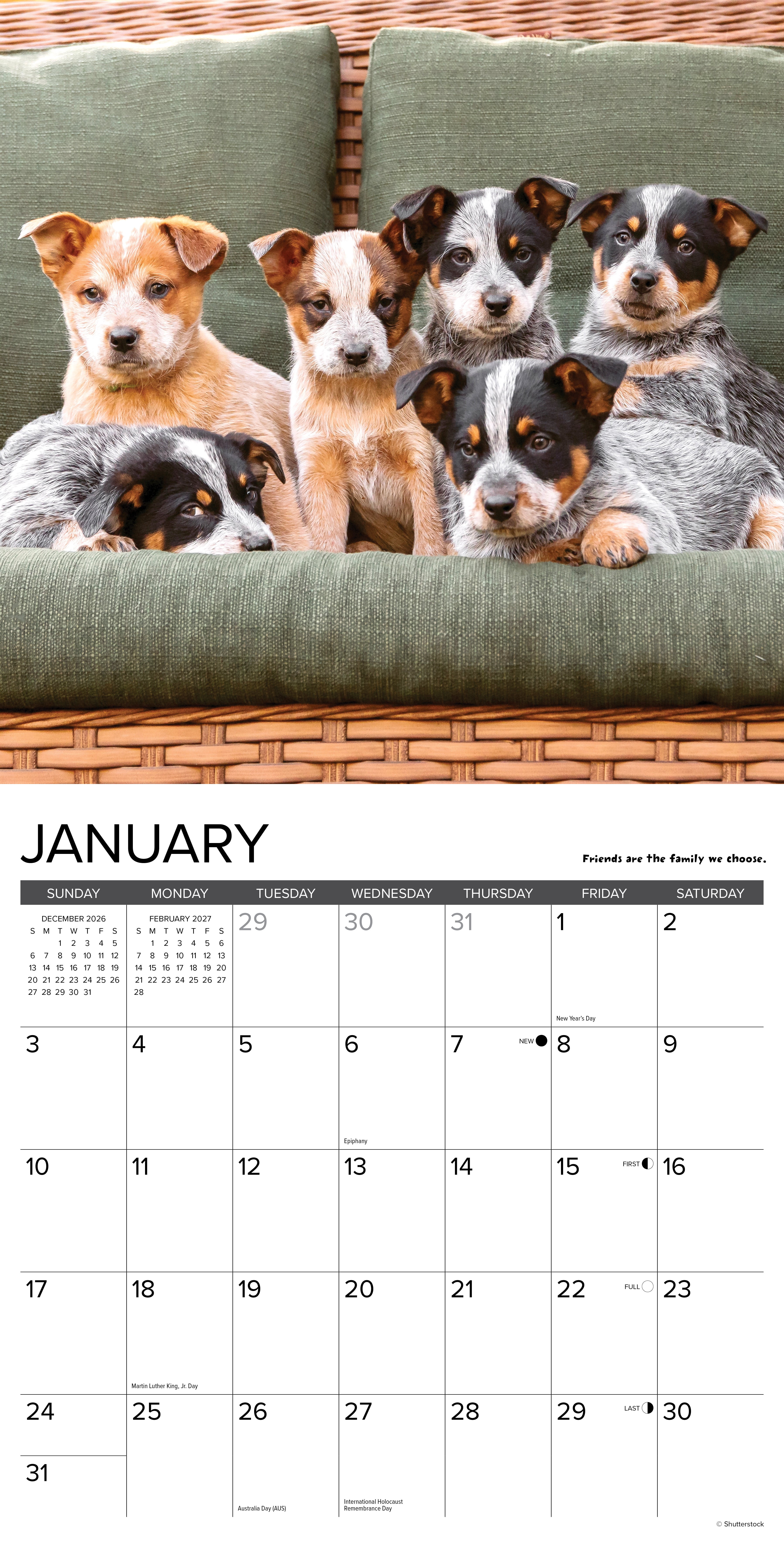 Willow Creek Press, What Puppies Teach Us 2027 Wall Calendar