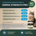 thumbnail image 3 of Suplemento VetriScience Derma Strength Pro para perros y gatos, 3 of 8