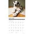 thumbnail image 3 of Great Dane Puppies 2025 Wall Calendar, 3 of 4