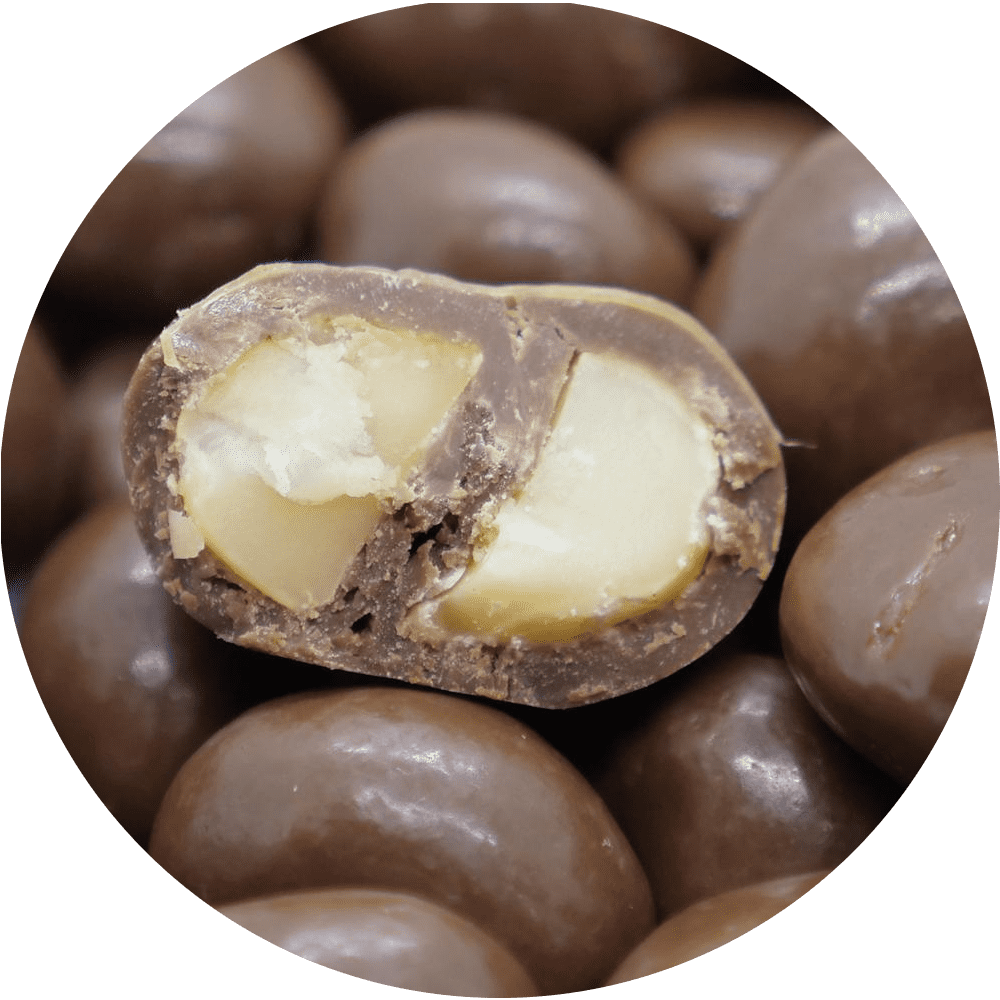 Milk Chocolate Covered Macadamias Bulk Bags