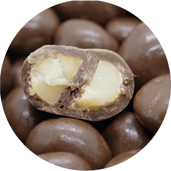 Chocolate Covered Macadamia Nuts