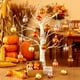 thumbnail image 1 of Adorno colgante de plástico en forma de bola para la decoración del árbol de Navidad | Mini esferas decorativas de Navidad y Acción de Gracias, 1 of 6