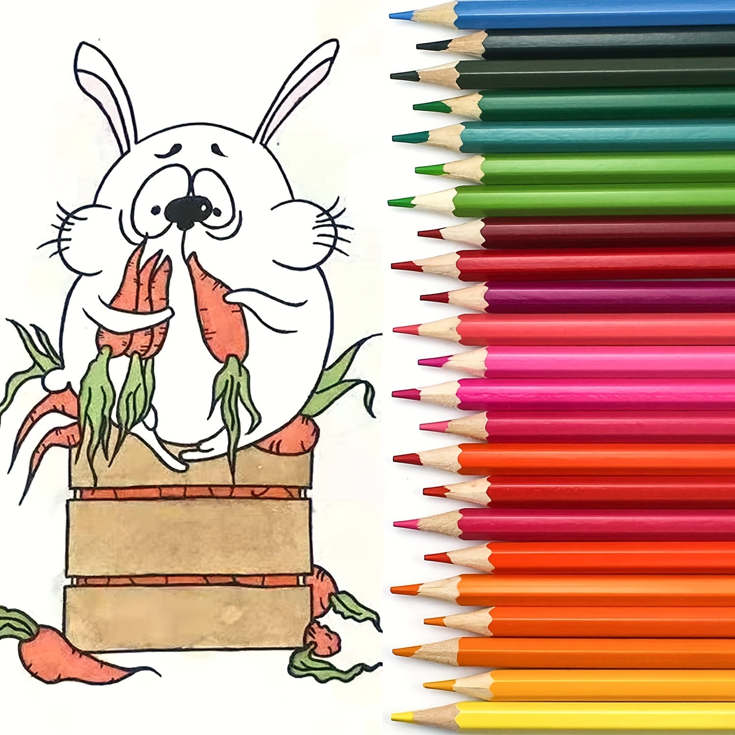 50/72 Colored Oil Based Colored Pencils Set, with Canvas Roll-Up Case - Perfect for Adult Coloring, Drawing, Sketching, and Crafting