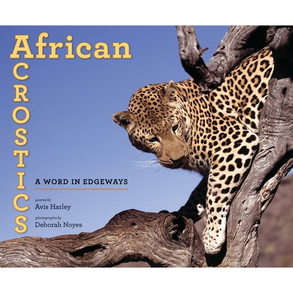African Acrostics : A Word in Edgeways (Paperback)