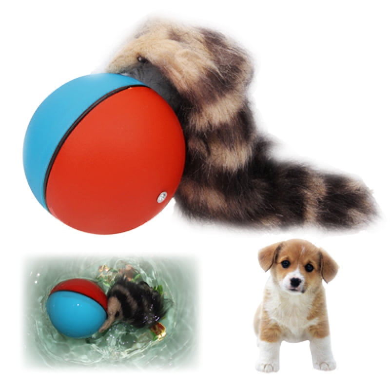 motorized dog ball