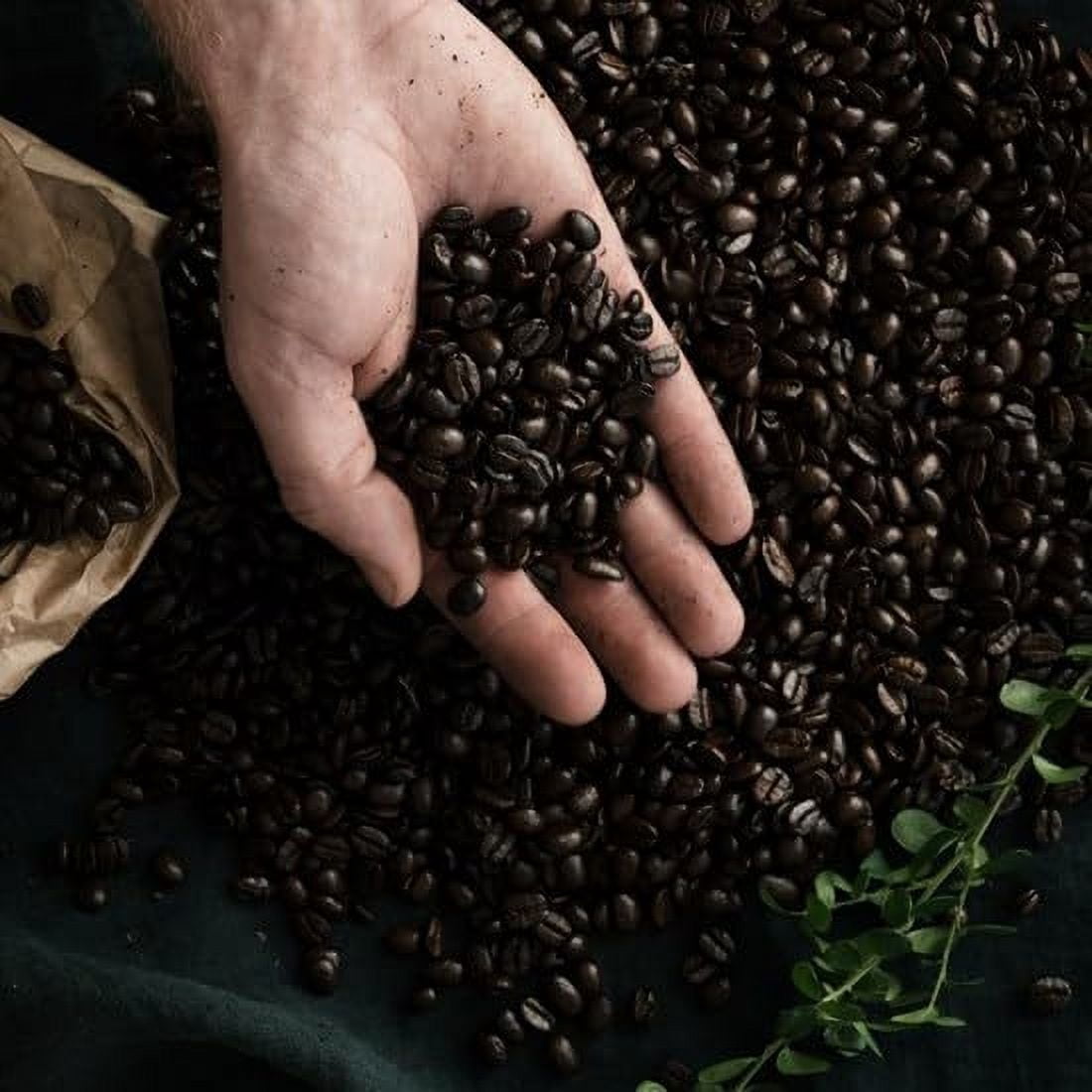 Arvid Nordquist Ground Coffee, 17.6oz (Pack of 6, Mellanrost (Medium Roast))