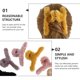 thumbnail image 3 of BESTYASH 6Ud Hair Claws De Material Plástico Y Accesorios Para Peinado Femenino, 3 of 6
