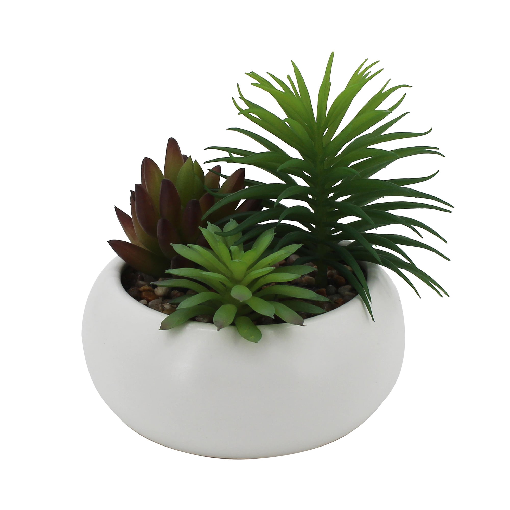 Mainstays 4.75' Succulent Arrangement in White Ceramic Planter, Green
