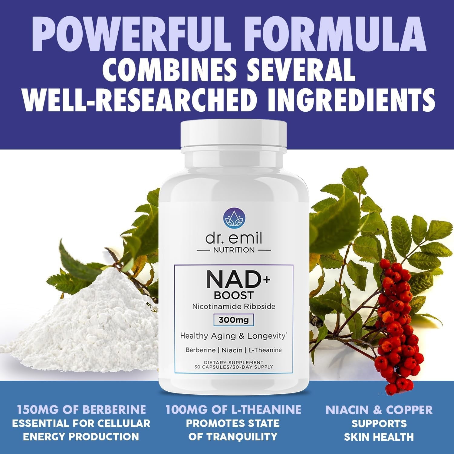 DR. EMIL NUTRITION NAD + Boost, NAD supplement, 30 Servings, 2 Pack