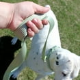 thumbnail image 5 of Vibrant Life Neoprene Cushioned Monochrome Leash for Medium & Large Dogs, Sage Green, 6 ft, 5 of 9