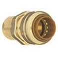 thumbnail image 2 of Anvil International Proline Brass Push Fit x MPT Adapter, 2 of 3