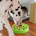 thumbnail image 5 of El cuenco para perros de alimentación lenta antiasfixia ayuda a prevenir manchas, no tóxico y placa de alimentación verde sin BPA., 5 of 5