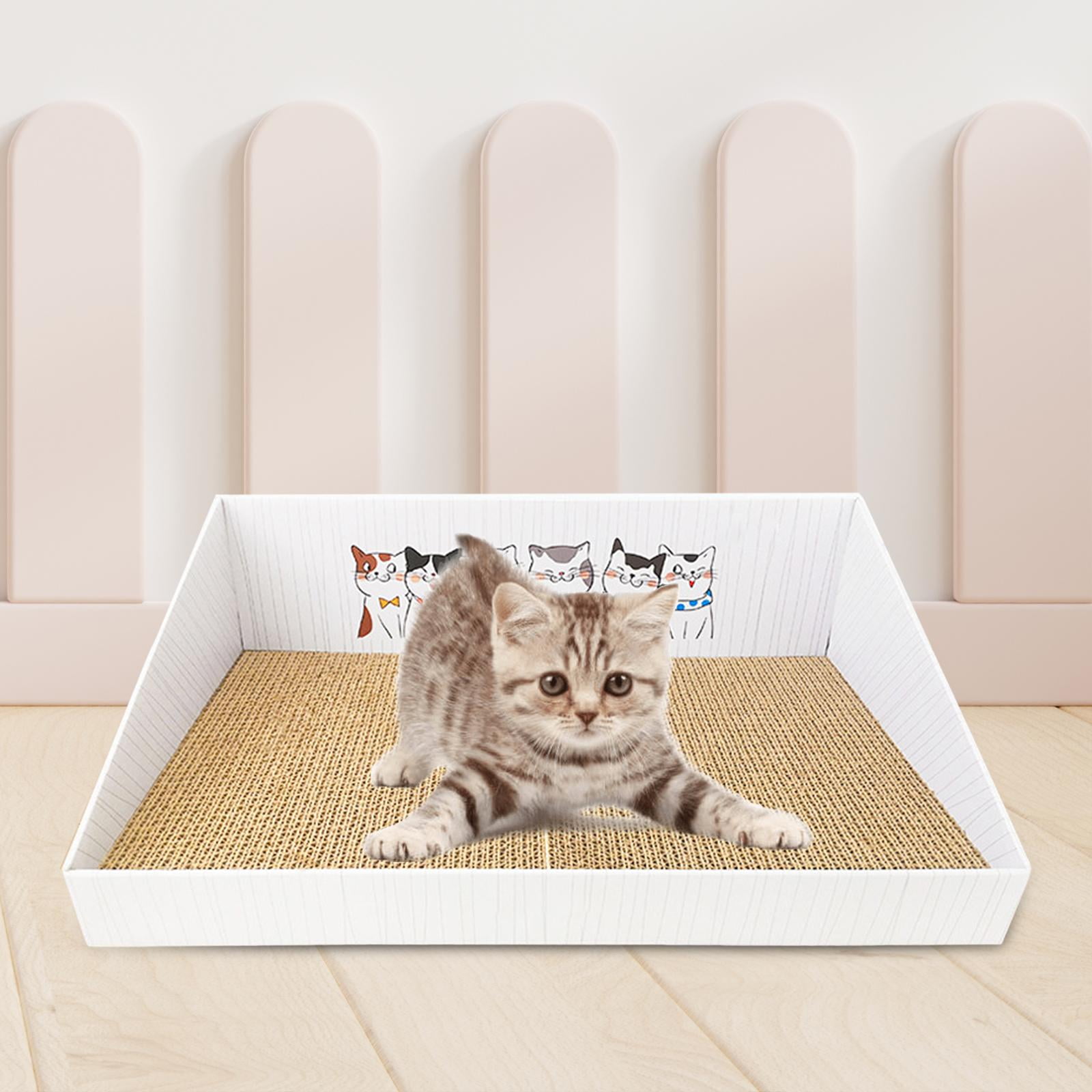 Bvdfgk Cat Scratch Pad with Box Corrugated Scratch Pad Training Toy Interactive Toy Cat White