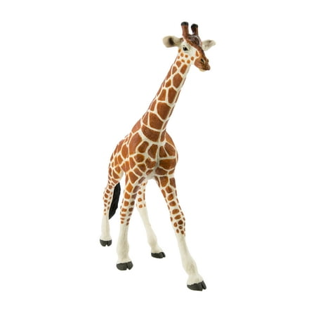 Kalencom Giraffe - Safari Ltd Wildlife Wonders Reticulated Giraffe