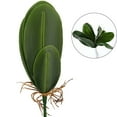 thumbnail image 2 of unbranded Planta Artificial De Plástico Verde Con Hojas Realistas Para En Hogar Y Eventos, 2 of 7