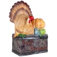 thumbnail image 3 of Northlight Turkey and Pumpkins 'Happy Thanksgiving' Decoration - 20.25", 3 of 8
