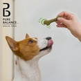 Pure Balance Pro+ Dental Chews for Dogs, Chicken Flavor, 20 Count