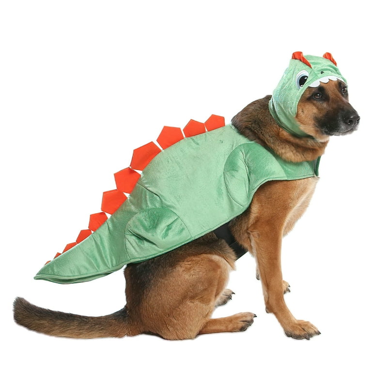Dinosaur Dog Collar Cute Dog Collar Funny Dog Collar 