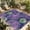 DarkViolet, variant on Purple Green Flowers Outdoor Rug for Patio/Deck/Porch, Non-Slip Large Area Rug 3 x 5 Ft, Watercolor Vintage Botanical Indoor Outdoor Rugs Washable Area Rugs, Reversible Camping Rug Carpet Runner