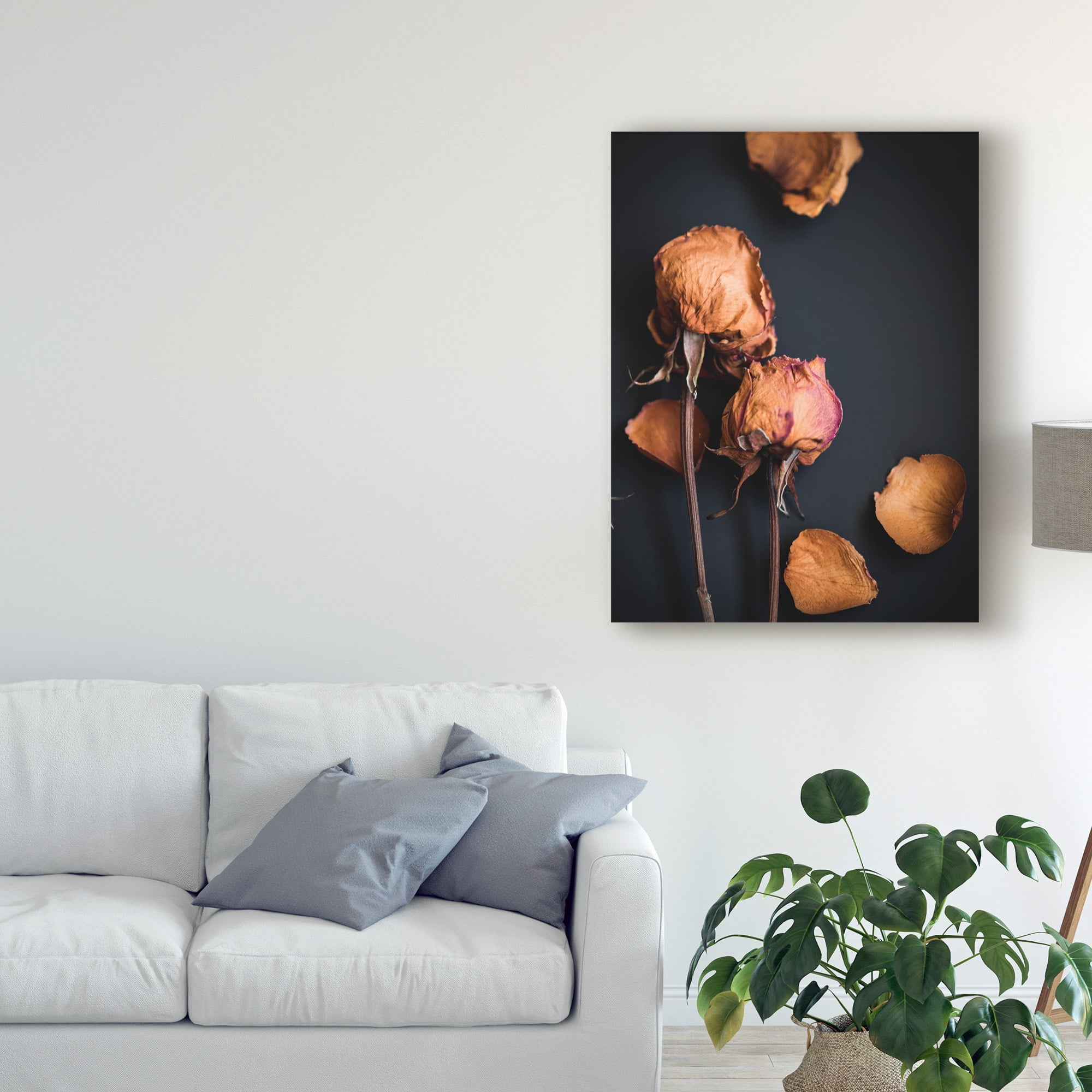 Trademark Fine Art 'Wilted Dreams I' Canvas Art by Sonja Quintero