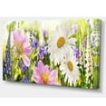 thumbnail image 2 of Champ de Fleurs Sauvages au Coucher du Soleil, 2 of 3