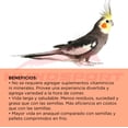 thumbnail image 3 of Alimento Zupreem fruitblend ninfa 397 gr. Zupreem Zupreem Alimentos ave, 3 of 4