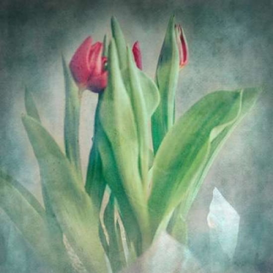 Lisas Flowers Canvas Art - Roberta Murray (24 x 24)