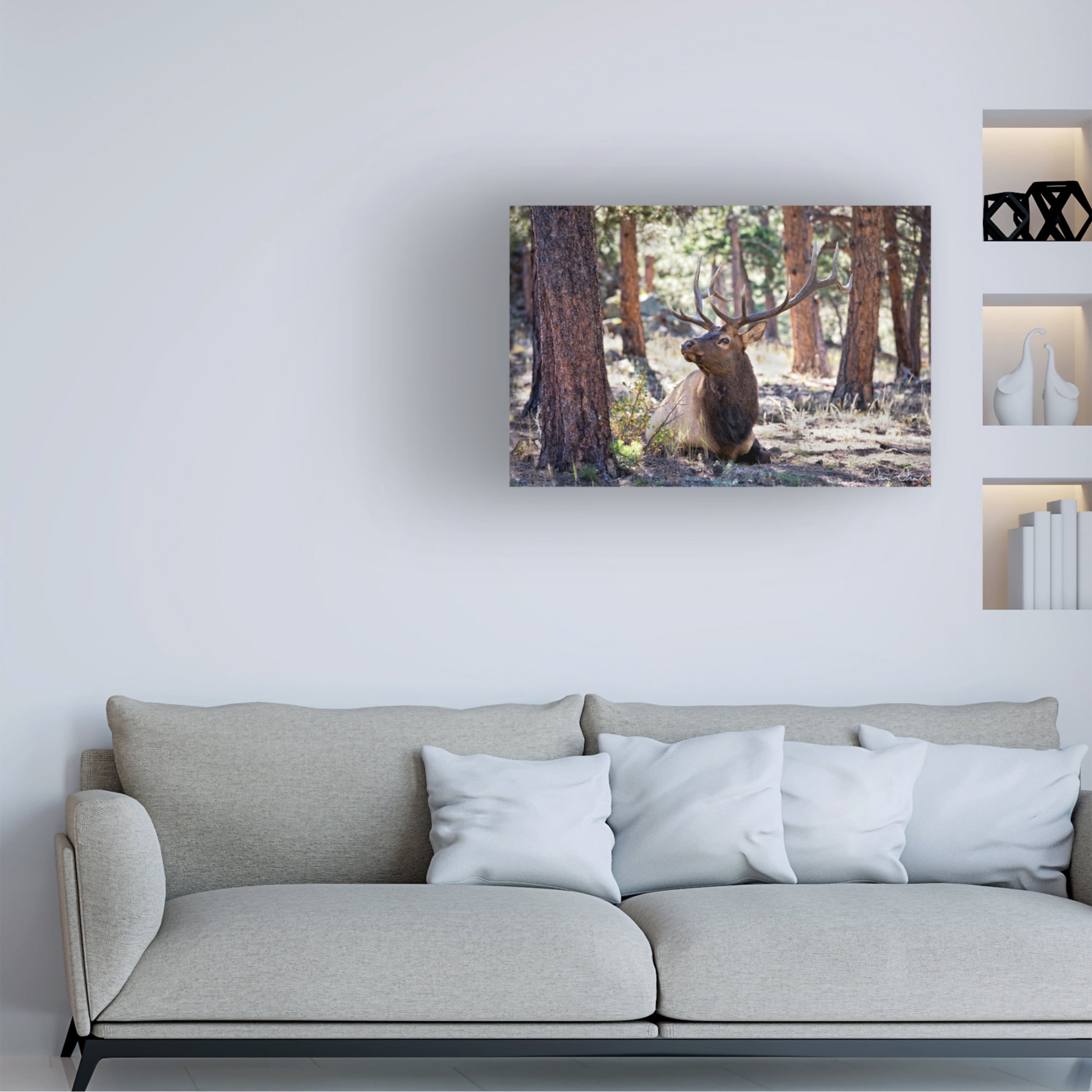 Trademark Fine Art David Drost  Elk in the Woods Canvas Wall Art