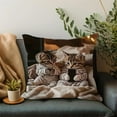 thumbnail image 4 of Cat Print Throw Pillow Cover 18x18 Inch, Cute Multicolor Cat Pattern Soft Polyester with Hidden Zipper, Decorative Cushion Case for Sofa Bed Living Room Home Decor, 4 of 5