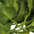 thumbnail image 2 of Enredaderas de hojas artificiales de Scindapsus Aureus, decoración de habitaciones, plantas naturales para exteriores 2, 2 of 4