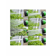 thumbnail image 4 of Jardín 15m Expandible 3x De Su Tamaño Original, Manguera De, 4 of 5