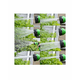 thumbnail image 4 of Jardín 15m Expandible 3x De Su Tamaño Original, Manguera De, 4 of 5