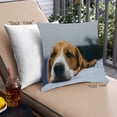 thumbnail image 1 of Ahgly Company Dogs Beagle Outdoor Throw Pillow, 18 inch by 18 inch, 1 of 6