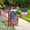 A,B,C,D,E, variant on Votnto 4th Of July Star String Lights 21FT, 30 LED Red White Blue Star Solar Lights Waterproof Outdoor Holiday