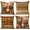 A-fall 33, variant on Fall Pumpkin Throw Pillow Covers Autumn Thanksgiving Throw Pillow Covers Full Flax Cute Throw Pillow Case Set of 4 (18 x 18) for Sofa Bed Home Decor