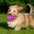 thumbnail image 4 of Durable TPR Squeaky Interactive Dog Toy for Aggressive Chewing Teeth Cleaning and Floating Water Play Activities, 4 of 4