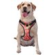 thumbnail image 1 of Balery Refreshing Watermelon Slices Arnés para Perros Grandes Antitirones, Arnés con Correa para Gato, Arnés Tipo Chaleco para Perros Pequeños-X-Large, 1 of 6