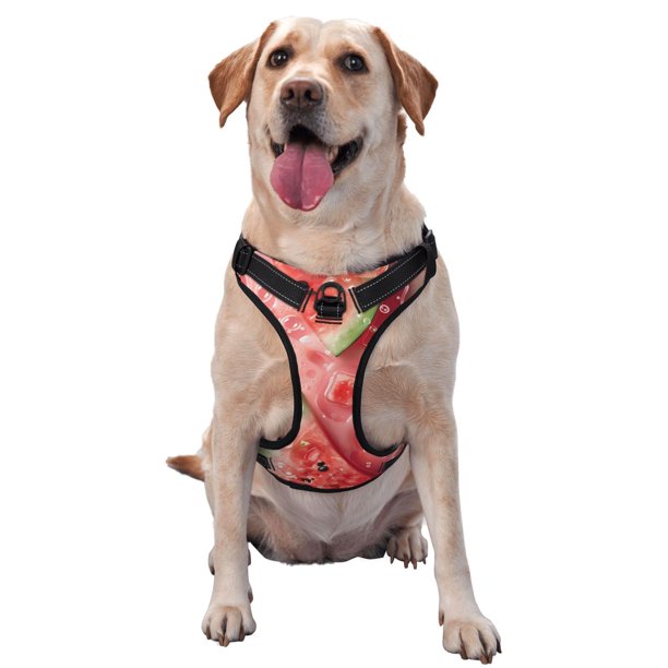 Balery Refreshing Watermelon Slices Arnés para Perros Grandes Antitirones, Arnés con Correa para Gato, Arnés Tipo Chaleco para Perros Pequeños-X-Large