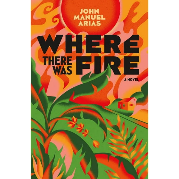 Where There Was Fire : A Novel (Hardcover)