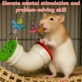 thumbnail image 2 of Foraging Plastic Toy with Hanging Treat Tube for Rats & Guinea Pigs, 2 of 6