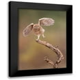 thumbnail image 1 of Eichelberg, Amnon 19x24 Black Modern Framed Museum Art Print Titled - Im just a gigalo, 1 of 5