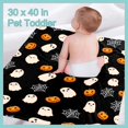 thumbnail image 4 of Halloween Cute Ghost Blanket Pumpkin Spider Web Flannel Throw Blanket for Bed Sofa Travel All Season Pets 40"x30", 4 of 6
