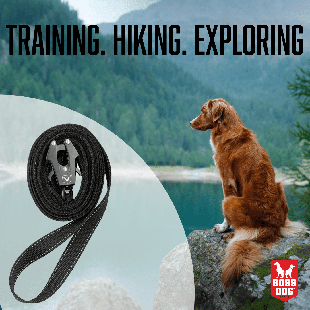 Boss Dog ProSeries™ Heavy Duty Dog Training Leash, Black, 20ft