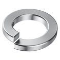 thumbnail image 1 of EcoNesxp 304 Stainless Steel Metal Stainless Steel Lock Washer Shop and Outdoor Building 600 Pieces Stainless Steel Metal Stainless Steel Lock Washer Kitchen, 1 of 5