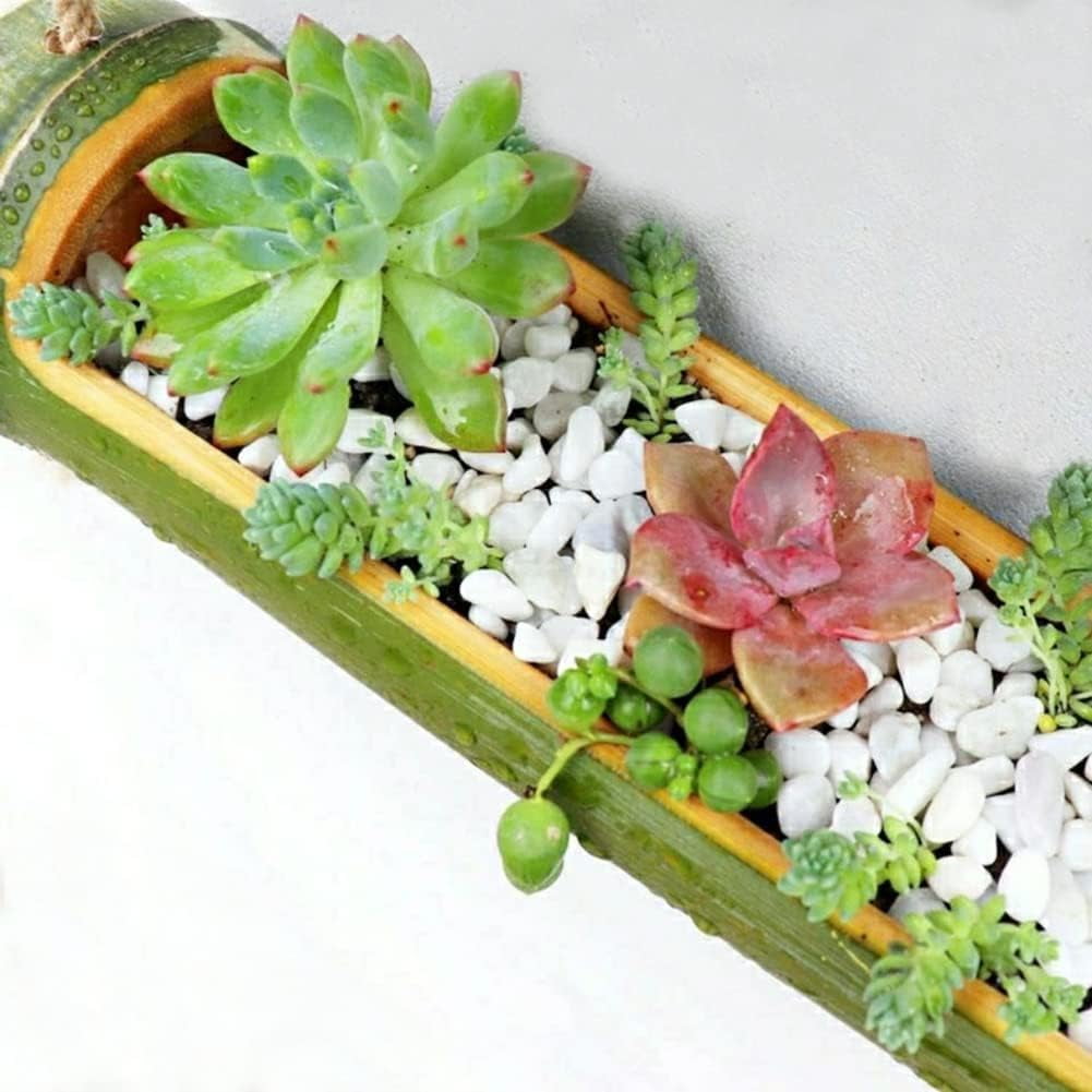Bamboo Hanging Succulent Planter Hanging Planters for Indoor Plants, 2 Tier Hanging Pot Wall Planters for Indoor Plants, Hanging Plant Holder for Succulent Air Plant Herb (Green)