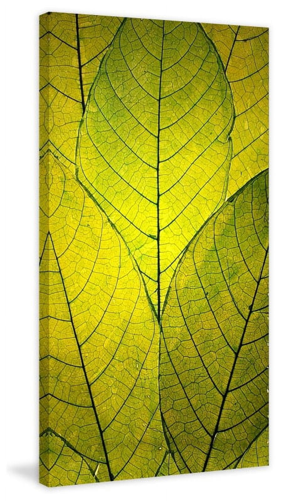 Marmont Hill - "every Leaf A Flower" By
