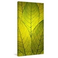 thumbnail image 6 of Marmont Hill Mh-Robdic-61-C-24 24" X 12" "Every Leaf A Flower" Giclee Art Print On, 6 of 7