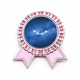 thumbnail image 1 of Una estrella de la suerte. Insignia broche Medalla rosa premiada, 1 of 3