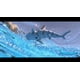thumbnail image 3 of Control remoto Roboshark Jupiter Creations a prueba de agua, 3 of 6
